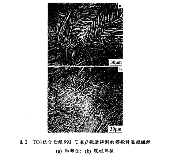TC6钛合金经993℃准β铸造得到的模锻件显微组织(a) 肋部位；；(b) 腹板部位