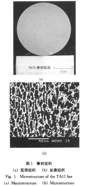 棒材组织 棒材组织