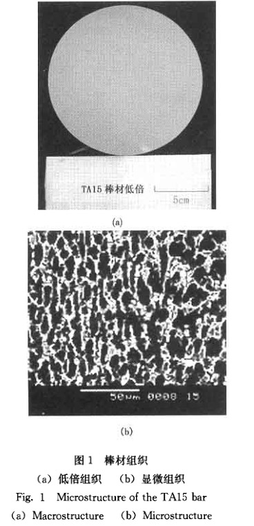 锻件组织 锻件组织
