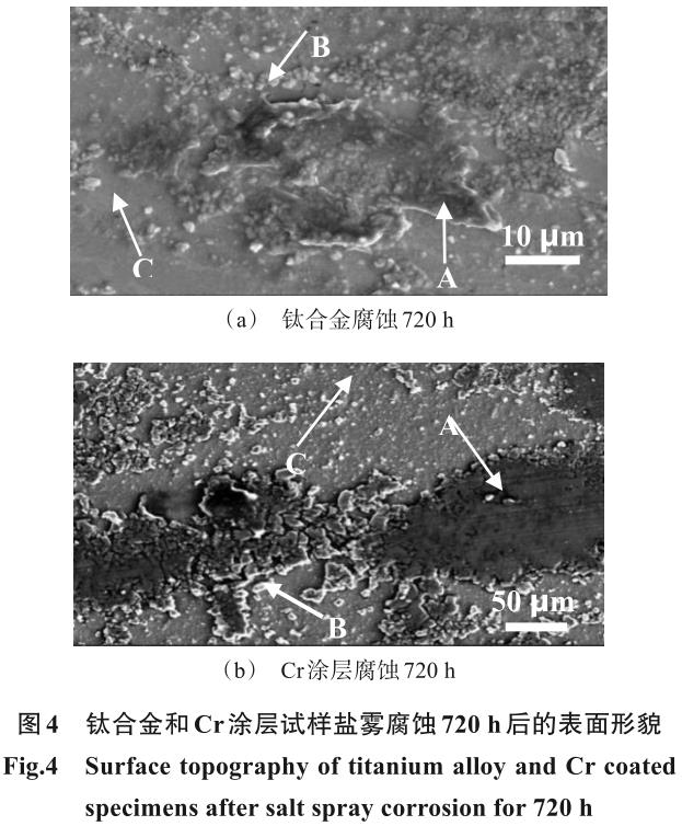 1721726176688663.jpg 360截图16741211524774.jpg